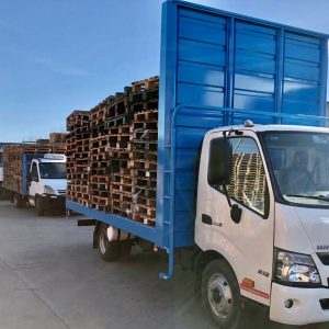 WhatsApp Image 2025-09-08 at 07.31.53